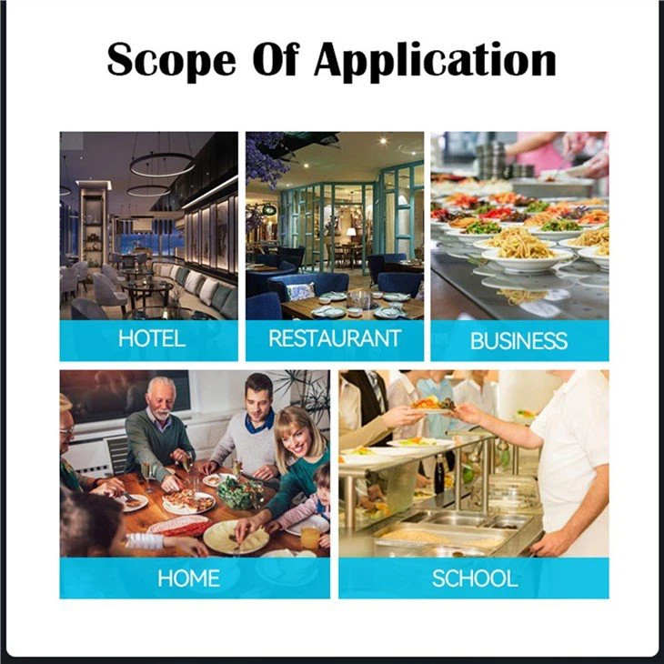 WOK type induction cooker commercial use